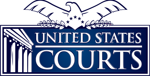 US District Court Internship