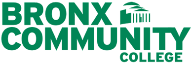 Bronx Community College Internship